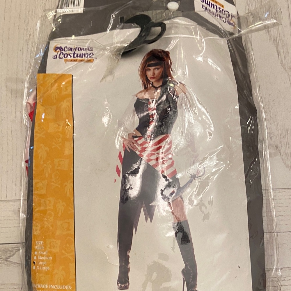 Halloween pirate costume
